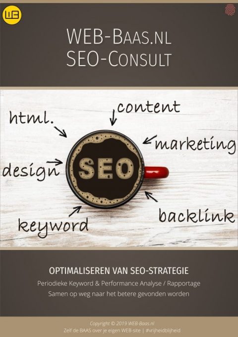 SEO-Consult flyer