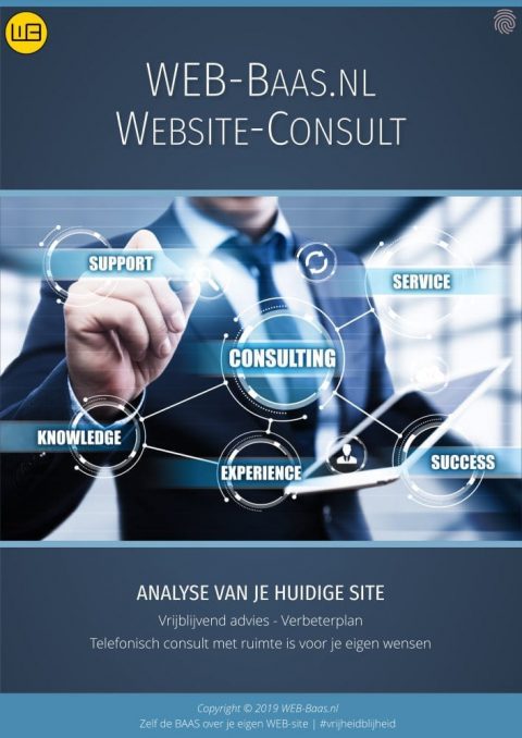 WEBSite Consult Flyer