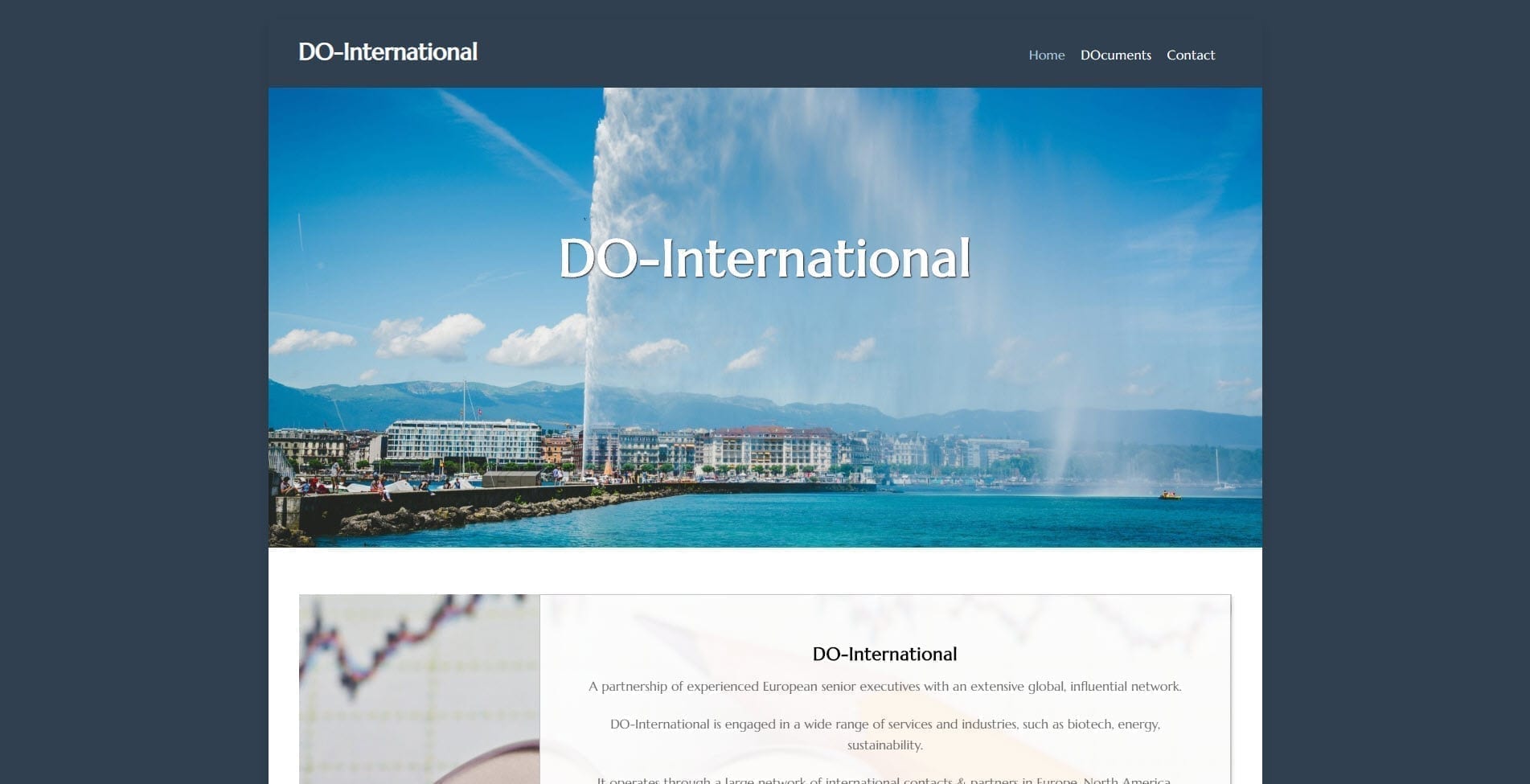 Website Do-International.com